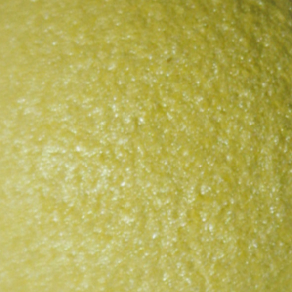 Dermacol - STUDIO BonBon eyeshadow No.84 - Pearl Performance - STUDIO BonBon očné tiene č.84 - Pearl Performance - 6 g